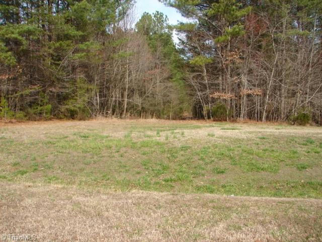 00 SYCAMORE TRAIL, FRANKLINVILLE, NC 27248, photo 1 of 7