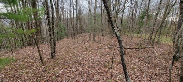 LOT 5 FAIRVIEW CHURCH ROAD, LANSING, NC 28643, photo 2 of 20