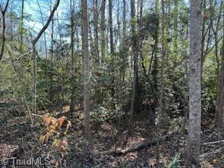 LOT 16 STEVENS DRIVE, JONESVILLE, NC 28642, photo 3 of 6