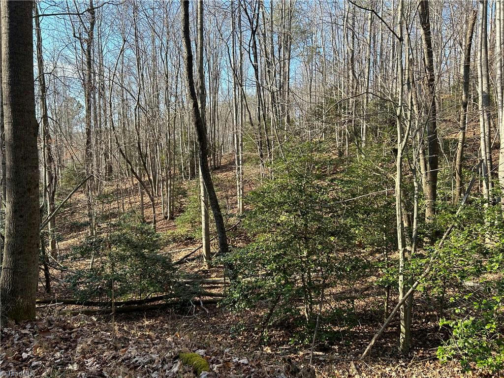 00 HICKMAN HOLLOW TRAIL, MOUNT AIRY, NC 27030, photo 1 of 10