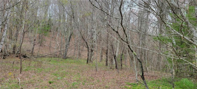 LOT 5 FAIRVIEW CHURCH ROAD, LANSING, NC 28643 - Image 1