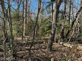 LOT 15 STEVENS DRIVE, JONESVILLE, NC 28642, photo 5 of 6