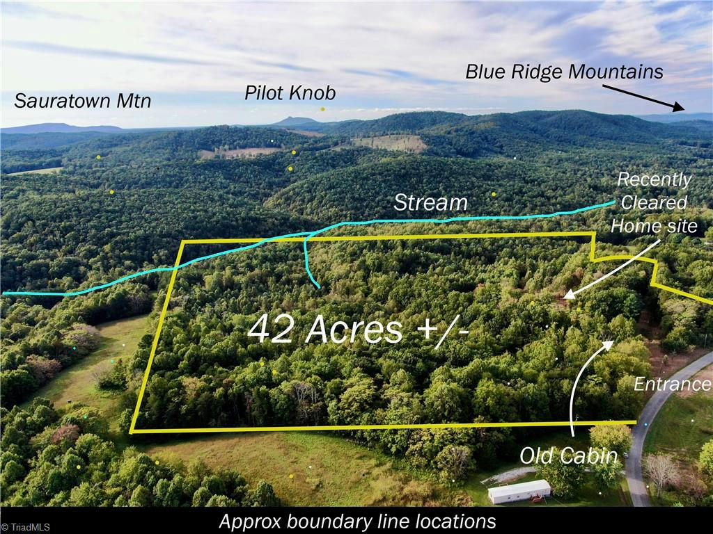 00 PEDIGO RIDGE ROAD # 41.61 ACRES, CLAUDVILLE, VA 24076, photo 1 of 34