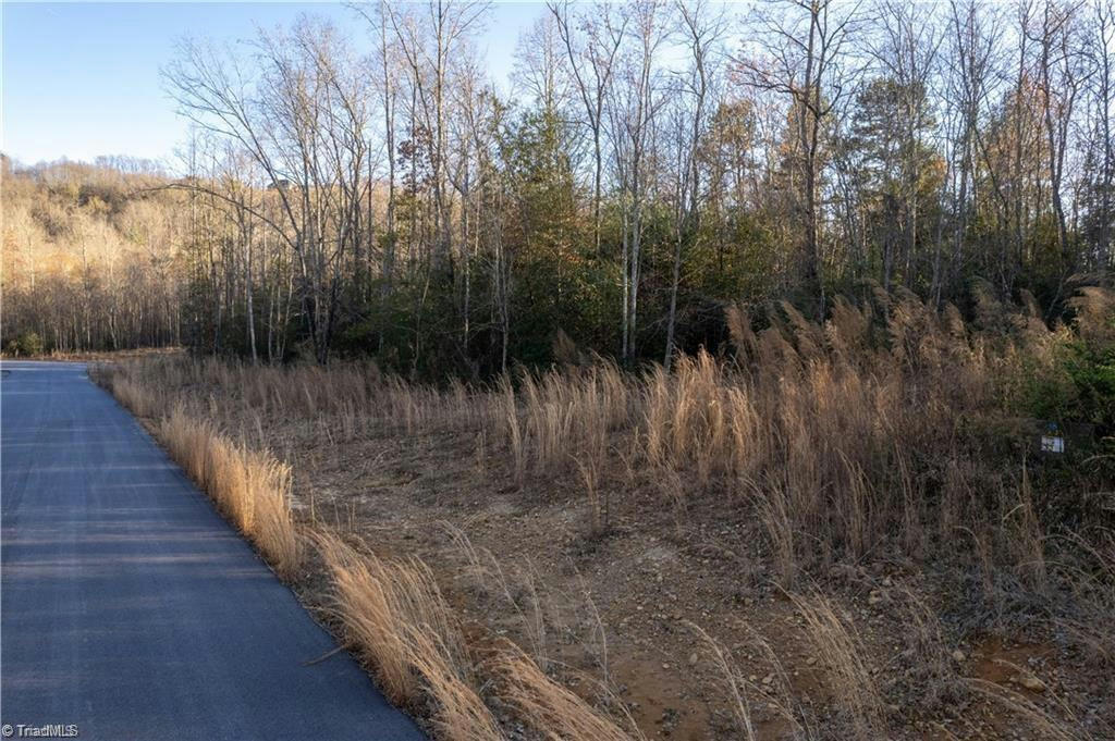 LOT 22 REGAL OAKS DRIVE, WILKESBORO, NC 28697, photo 1