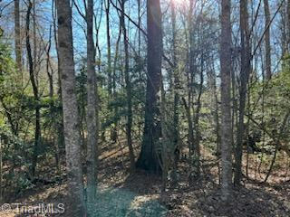 LOT 16 STEVENS DRIVE, JONESVILLE, NC 28642, photo 5 of 6