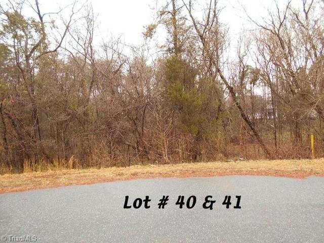 #40 & #41 FOX RUN, EDEN, NC 27288, photo 1