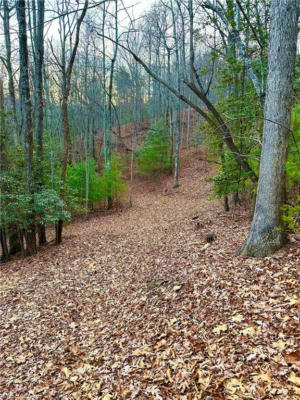 LOT 64 SWEETWATER ROAD, BOOMER, NC 28606, photo 2 of 7