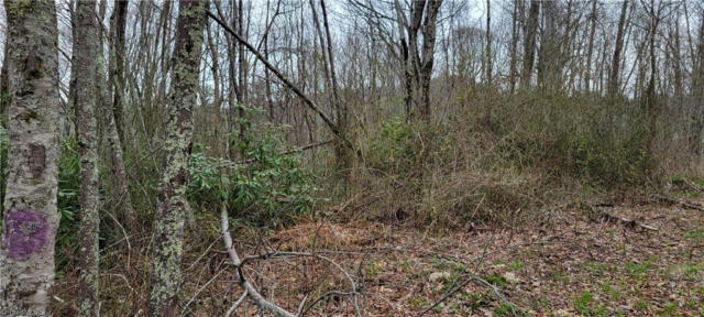 LOT 3 FAIRVIEW CHURCH ROAD, LANSING, NC 28643, photo 2 of 17