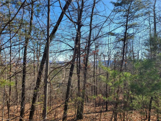 LOT 5 SWEETWATER ROAD, BOOMER, NC 28654 - Image 1