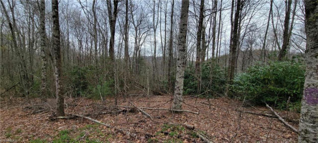 LOT 3 FAIRVIEW CHURCH ROAD, LANSING, NC 28643, photo 3 of 17