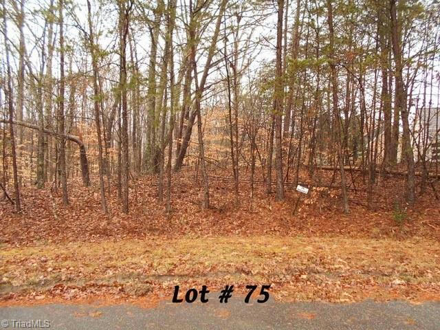 #75 BEAVER RUN, EDEN, NC 27288, photo 1