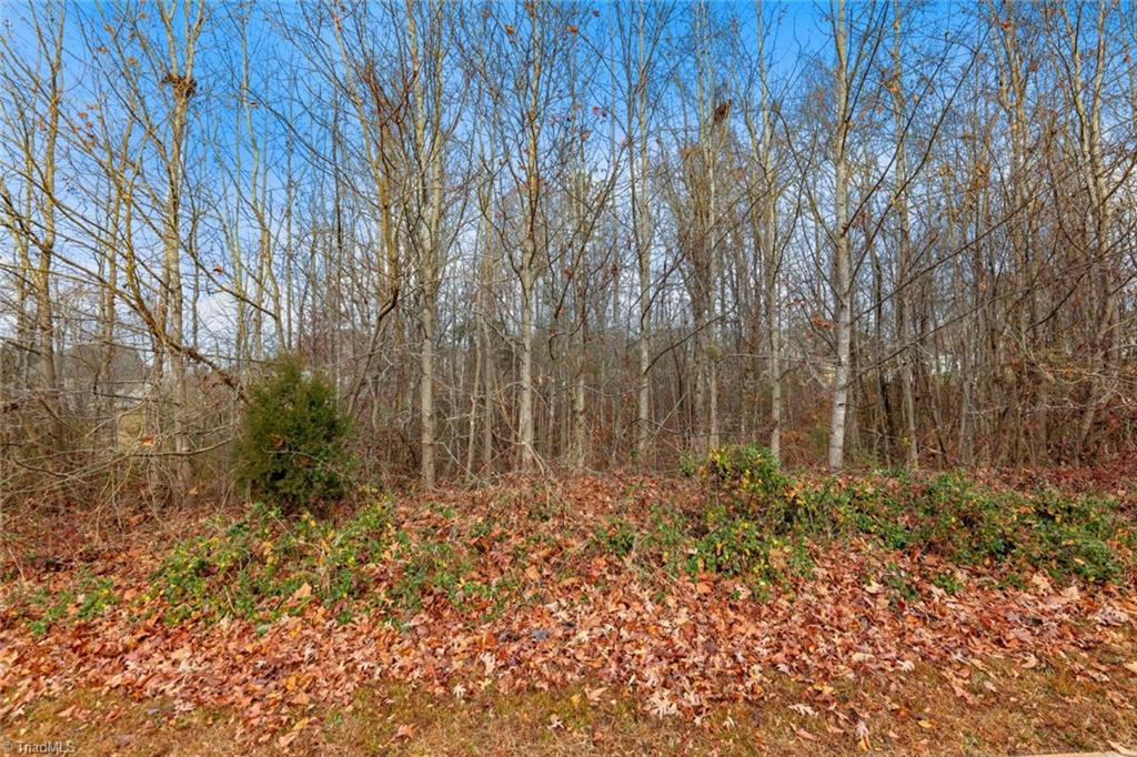 3525 DORAL CT, TOBACCOVILLE, NC 27050, photo 1 of 2