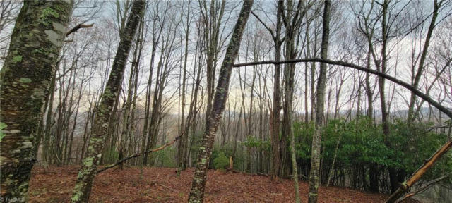 LOT 2 FAIRVIEW CHURCH ROAD, LANSING, NC 28643, photo 2 of 18
