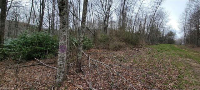 LOT 3 FAIRVIEW CHURCH ROAD, LANSING, NC 28643, photo 5 of 17