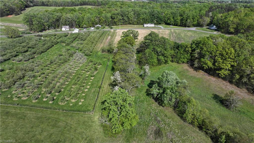 0 JOYCE ACRES ROAD, WESTFIELD, NC 27053, photo 1 of 9