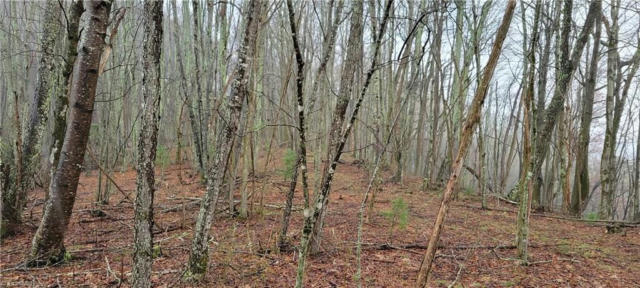 LOT 2 FAIRVIEW CHURCH ROAD, LANSING, NC 28643, photo 4 of 18