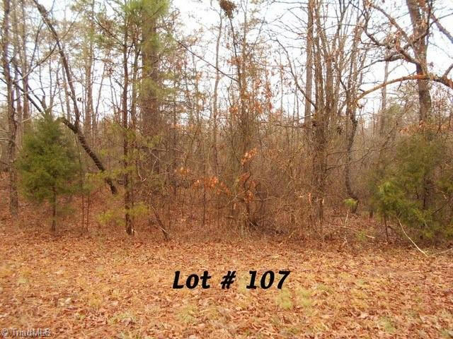 107 DEER RUN, EDEN, NC 27288, photo 1