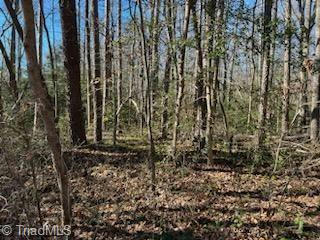 LOT 15 STEVENS DRIVE, JONESVILLE, NC 28642, photo 2 of 6