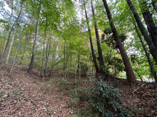 00 PIPERS GAP ROAD # LOT 17 PLUS 4 ACRES, MOUNT AIRY, NC 27030, photo 3 of 11