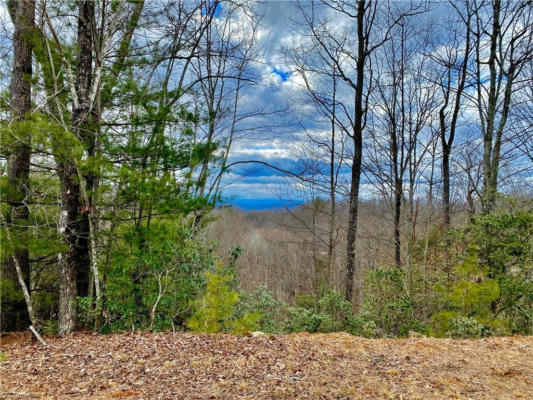 LOT 1 PINNACLE DRIVE, BOOMER, NC 28665 - Image 1