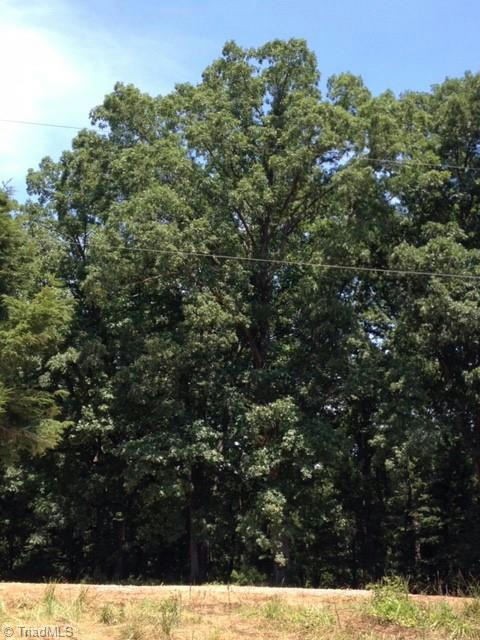 20 OLD QUARRY ROAD, STATE ROAD, NC 28676, photo 1