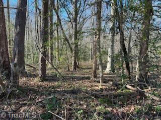 LOT 15 STEVENS DRIVE, JONESVILLE, NC 28642, photo 3 of 6