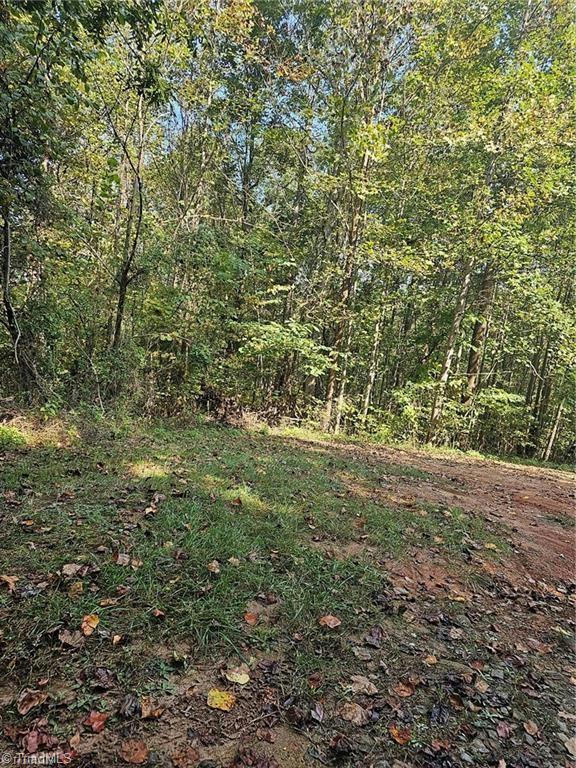 0 MORAVIAN CREEK DRIVE, MORAVIAN FALLS, NC 26865, photo 1 of 2