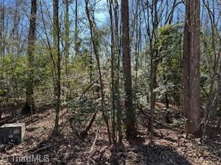 LOT 16 STEVENS DRIVE, JONESVILLE, NC 28642, photo 4 of 6