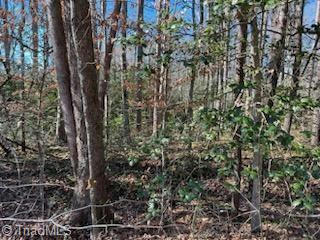 LOT 15 STEVENS DRIVE, JONESVILLE, NC 28642, photo 4 of 6