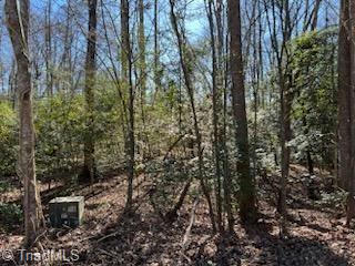 LOT 16 STEVENS DRIVE, JONESVILLE, NC 28642, photo 2 of 6