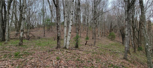 LOT 5 FAIRVIEW CHURCH ROAD, LANSING, NC 28643, photo 4 of 20